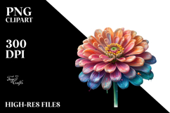 Zinnia with Material, Transparent PNG Product Image 2
