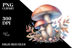 base keywords Product Image 2