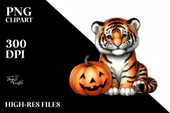 Baby Tiger Holding Halloween Pumpkin PNG Product Image 3