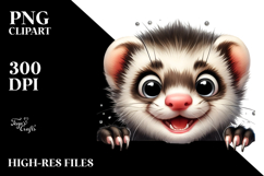 Funny Popping Eyes Ferret | Sublimation | Clipart Product Image 2