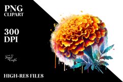 Sublimation|Clipart Product Image 1