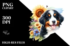 Bernese Mountain Dog from Behind, PNG Product Image 1