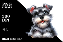 Adorable Miniature Schnauzer, PNG Product Image 2
