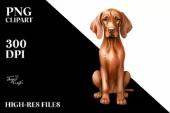 Vibrant Vizsla with Christmas Decorations, PNG Product Image 3