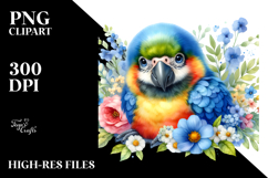 Colorful Baby Macaw Resting|Clipart Product Image 2