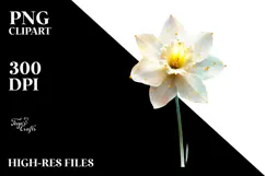 Daffodil with Golden Details, Artistic PNG Product Image 2