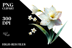 Daffodil with Golden Insertions, PNG Product Image 2
