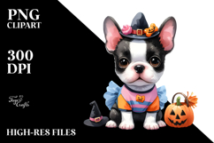 Expressive Baby Boston Terrier, Transparent PNG Product Image 2