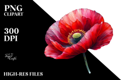 Elegant Poppy with Metallic Accents, PNG Product Image 2