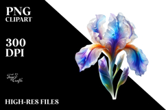 Iris with Material, Transparent PNG Product Image 2