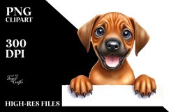 Crazy Looking Baby Rhodesian Ridgeback Clipart Product Image 1