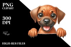 Crazy Looking Baby Rhodesian Ridgeback Clipart Product Image 3