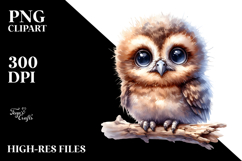 Cute Baby Owl PNG Product Image 2