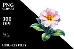 Primrose | Sublimation | Clipart Product Image 3