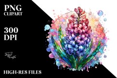 Shiny Stained Hyacinth | Clipart Product Image 3