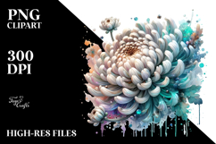 Chrysanthemum, Colorful PNG Product Image 2