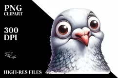 Funny Dove Portrait | Watercolor Clipart Product Image 3