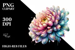 Vibrant Chrysanthemum, Transparent PNG Product Image 1