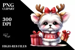 Winter Maltese with Gift Box, Transparent PNG Product Image 3