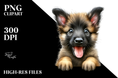 Colorful Baby Malinois with Big Eyes PNG Product Image 2