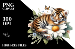 Sleeping Baby Tiger PNG Product Image 2
