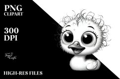 Crazy Looking Small Baby Swan Smiling | Clipart Product Image 1