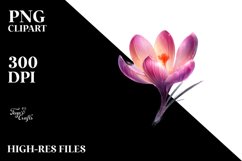 Shiny Crocus Watercolor Splash Product Image 1