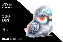 Cute Baby Parrot PNG Product Image 2