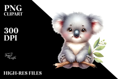 Cute Baby Koala PNG Product Image 2