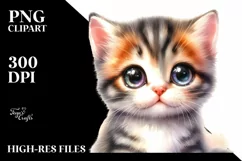 Cute Baby Cat with Big Eyes PNG Product Image 1