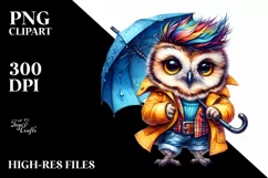 Happy Owl Model with Raincoat, Transparent PNG Product Image 1