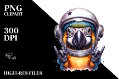Baby Macaw with Rocker Look PNG Product Image 2