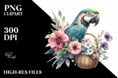 Boho Baby Macaw with Flowers | Sublimation | Clipart Product Image 1