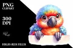 Colorful Baby Macaw Looking Over Paper | Clipart Product Image 3