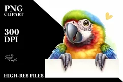 Colorful Baby Macaw Looking Over Paper | Clipart Product Image 1
