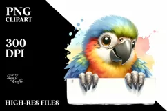 Colorful Baby Macaw Looking Over Paper | Clipart Product Image 1