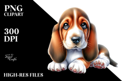 base keywords:sublimation,png,summer,sticker,flower,clipart Product Image 2