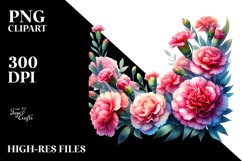 Vibrant Carnation Frame, High-Res PNG Product Image 1