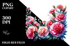 Vibrant Carnation Frame, High-Res PNG Product Image 2