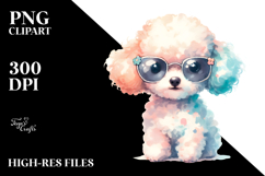 Expressive Baby Poodle PNG Product Image 2