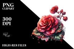 Detailed Shiny Begonia Design Product Image 3