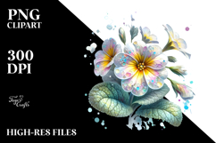 Primrose Made of , Watercolor Splash PNG Product Image 2
