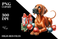 Elegant Rhodesian Ridgeback with Christmas Decor, High-Res Product Image 2