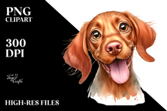 Cute Vizsla with Big Eyes, PNG Product Image 2