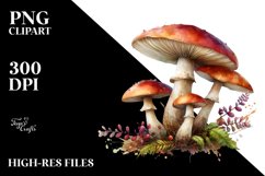 Detailed Mushroom Product Image 3