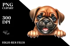 Watercolor Bullmastiff Baby Smiling Clipart Product Image 3