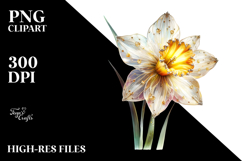 Daffodil PNG Product Image 2