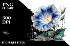 Glossy Morning Glory Material Clipart Product Image 1