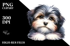 Baby Havanese Watercolor Clipart | Sublimation Product Image 3