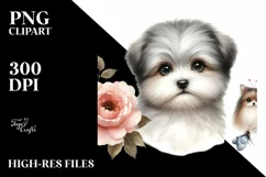 Baby Havanese Watercolor Clipart | Sublimation Product Image 1